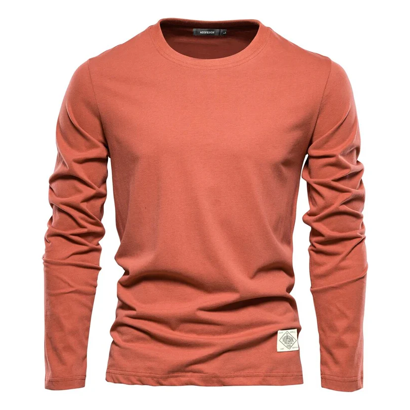 Levi - classic t-shirt with long sleeves